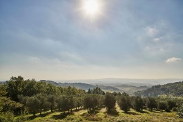 La Novellina