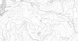 La Novellina
